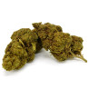 Mandarine Indoor- 19%