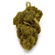 CBD Flower Amnesia Indoor