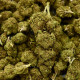 CBD Flower Amnesia Indoor