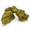 CBD Flower Amnesia Indoor