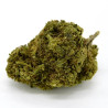 CBD Flower Amnesia Indoor