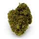 CBD Flower Amnesia Indoor