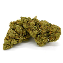 CBD Flower Amnesia Indoor