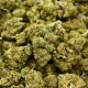 CBD Flower Amnesia Indoor