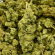 CBD Flower Amnesia Indoor