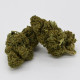 CBD Flower Amnesia Indoor