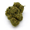 CBD Flower Amnesia Indoor