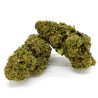 CBD Flower Amnesia Indoor