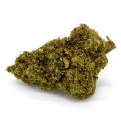 CBD Flower Amnesia Indoor