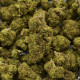 Fiore CBD Amnesia Indoor