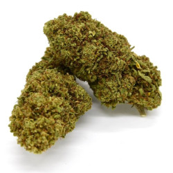 CBD Flower Berry Frost Indoor