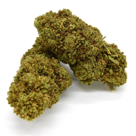 CBD Flower Berry Frost Indoor