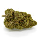 CBD Flower Berry Frost Indoor