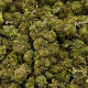 CBD Flower Berry Frost Indoor