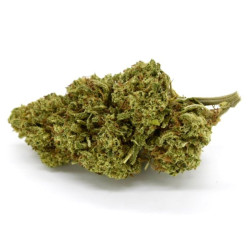 CBD Flower Amnesia Indoor