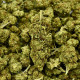 CBD Flower Amnesia Indoor