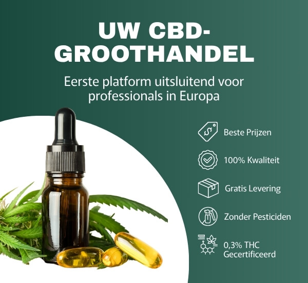 CBD GROOTHANDELAAR